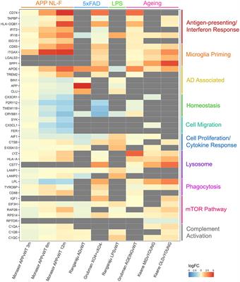 The proteomic landscape of microglia in health and disease